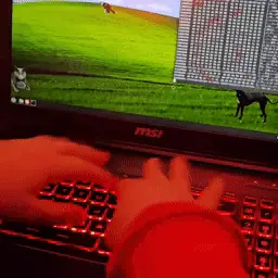 Jen’s hands hacking the planet with her laptop.
