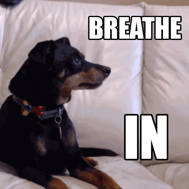 Free Studio Members! Hi!