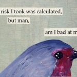 A meme of a bird saying "the risk I took was calculated, but man, am I bad at math"